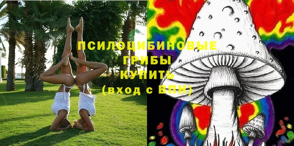 apvp Вязьма