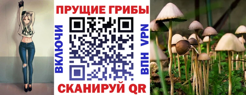 цены наркотик  Североморск  Галлюциногенные грибы GOLDEN TEACHER 